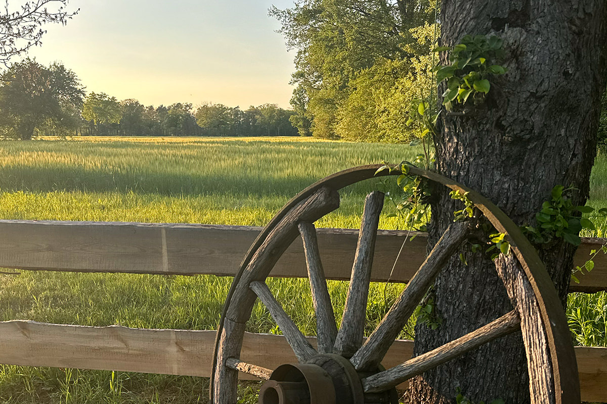 Wohnbereich mit gemütlicher Atmosphäre